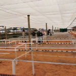 Nursery Upgrades & Civil Works for Vedanta BMM | Silo n Sons General Services (PTY) Ltd