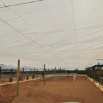 Nursery Upgrades & Civil Works for Vedanta BMM | Silo n Sons General Services (PTY) Ltd