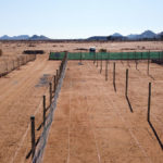 Nursery Upgrades & Civil Works for Vedanta BMM | Silo n Sons General Services (PTY) Ltd