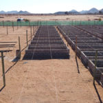Nursery Upgrades & Civil Works for Vedanta BMM | Silo n Sons General Services (PTY) Ltd