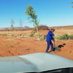 Vedanta BMM - Installation of Automated irrigation systems | Silo n Sons General Services (PTY) Ltd
